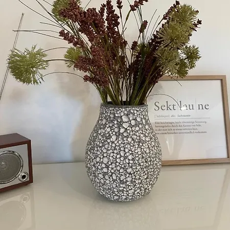 Wellnesshome Fontaneweg Mit Sauna, Terrasse Und Garten Tatil Evi *